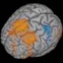 render_brain_activation.jpg
